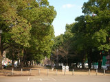 大通り公園