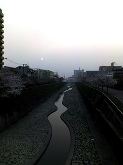 K3100007.jpg