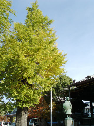 honganji.jpg