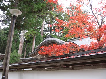 koyasan.jpg